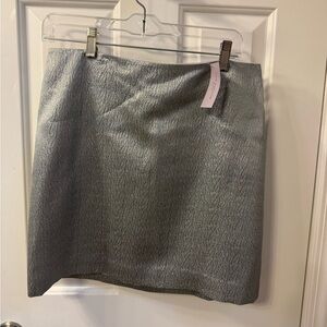 Ann Taylor Elegant Silver Mini Skirt